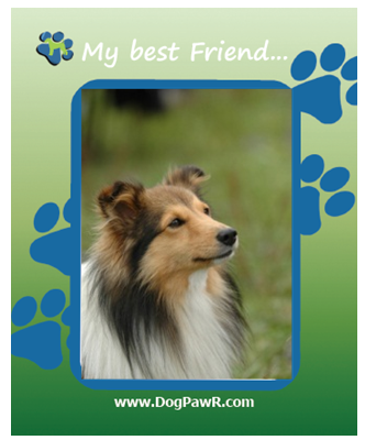 FREE Magnetic Pet Picture Frame 149751_magnetimagecropped